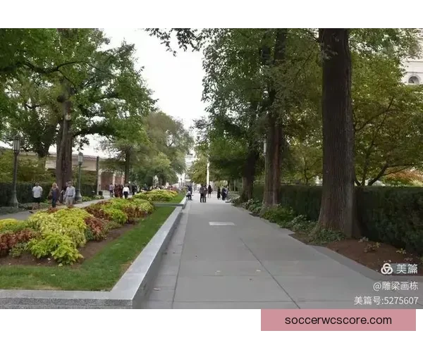 美加墨世界杯举办城市精彩纷呈全景解析与旅游攻略指南